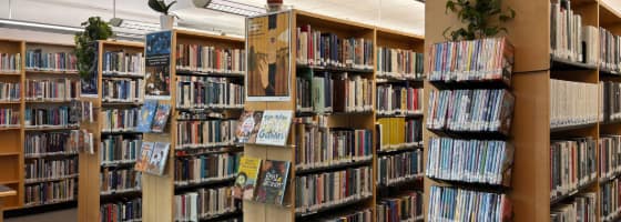 A photo of the library stacks.